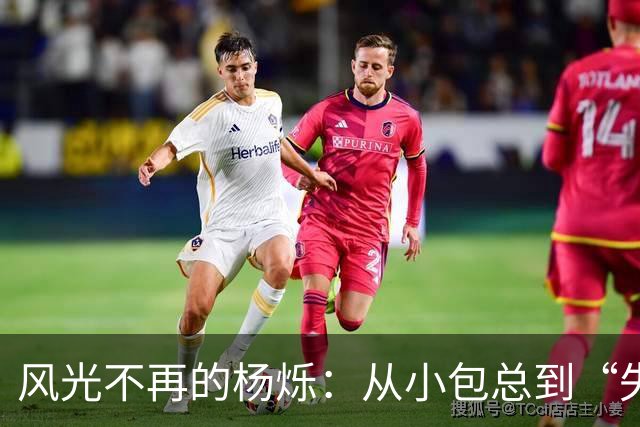 风光不再的杨烁：从小包总到“失落大师